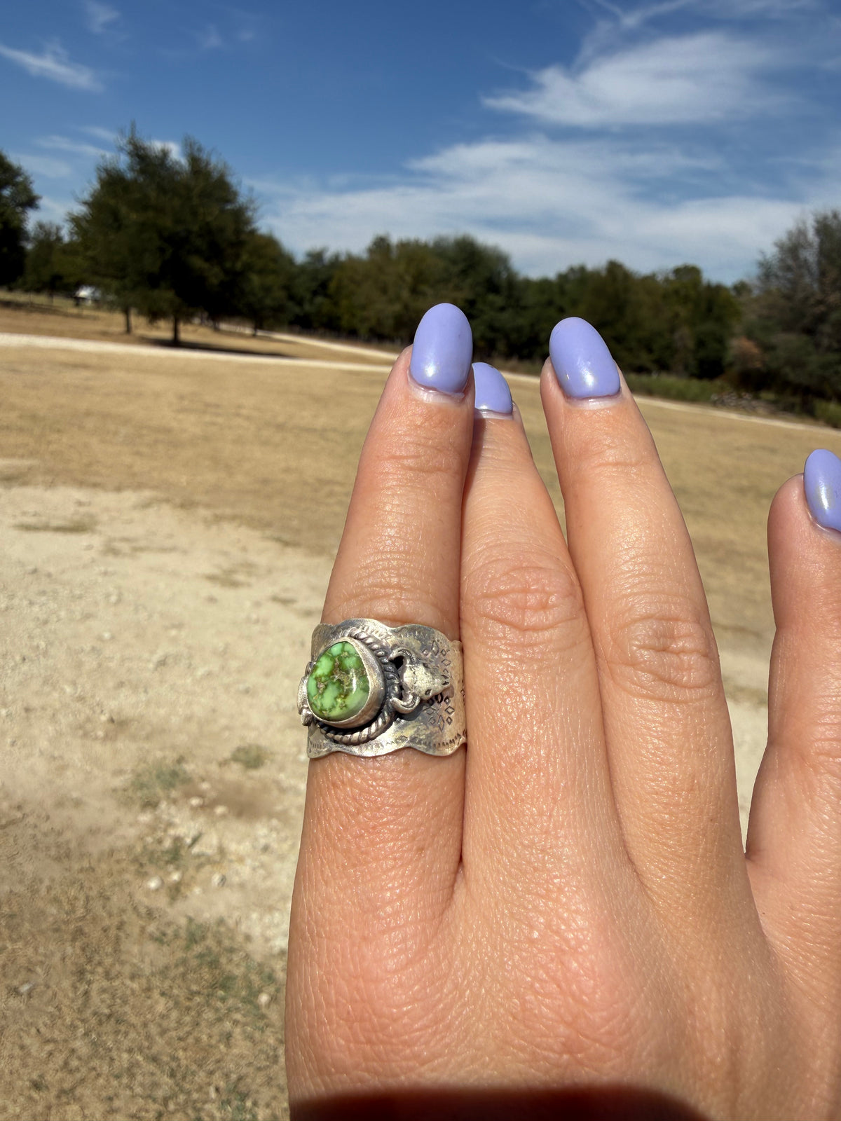 SIZE 8 Sonoran gold ring