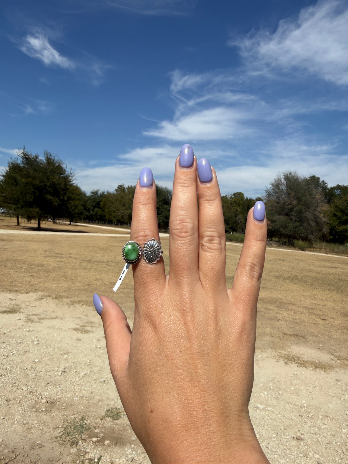 Sonoran mountain adjustable ring