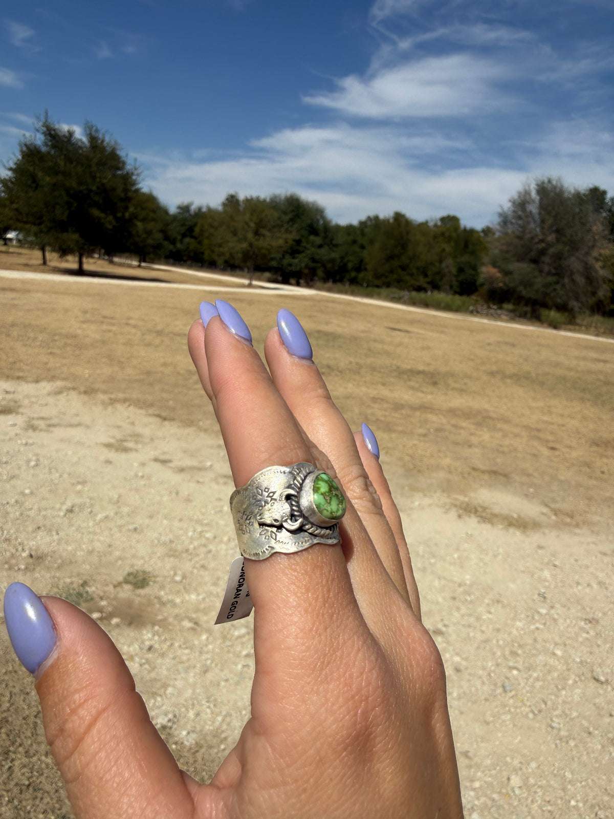 SIZE 8 Sonoran gold ring