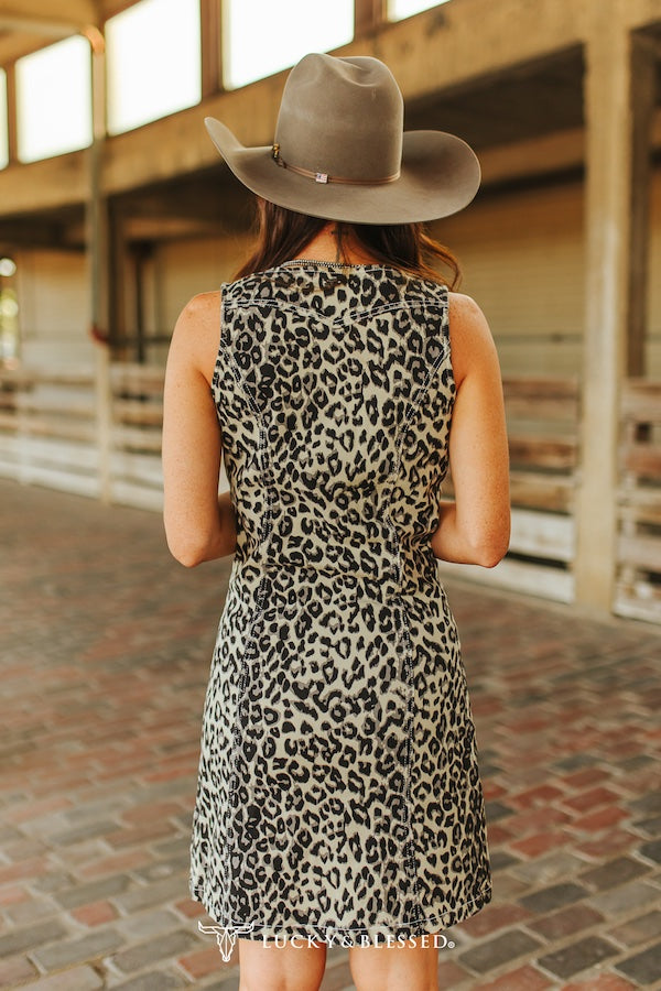 Brown Leopard Stretch Denim Button Down Dress