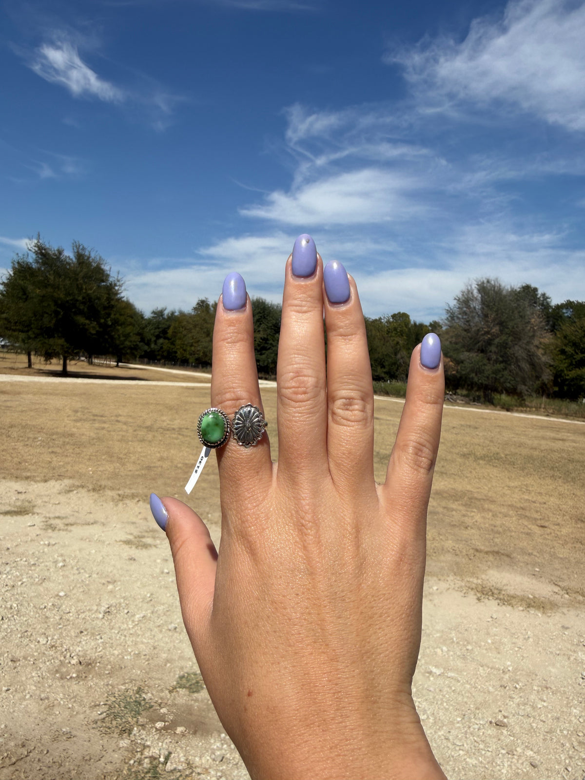 Sonoran mountain adjustable ring